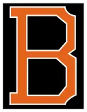 Orioles decal