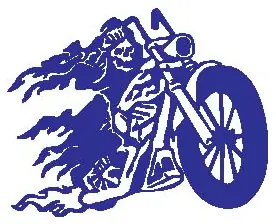 Skull decal